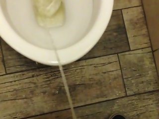 Public Toilet Piss